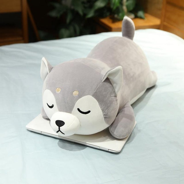 Cute Shiba Plushies
