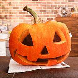 Halloween Jack O Lantern Plush Pillows